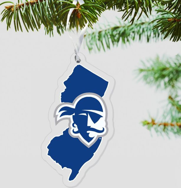 Seton Hall University Pirates 3x 4" Ornament"