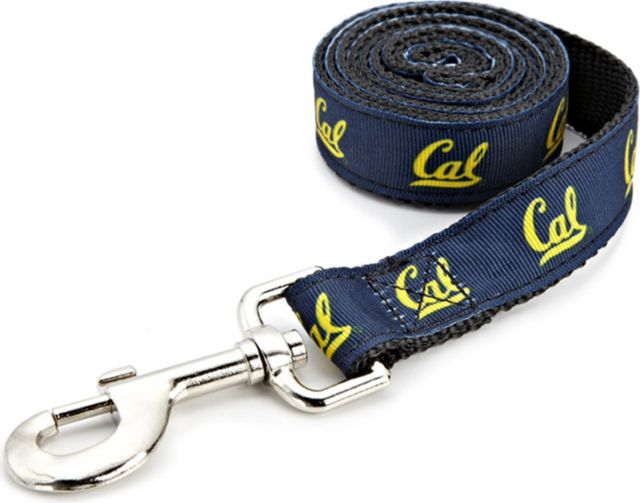 University of California Berkeley Golden Bears Herringbone Designer Novelty Dog  Collar – Custom Design Dog Collars