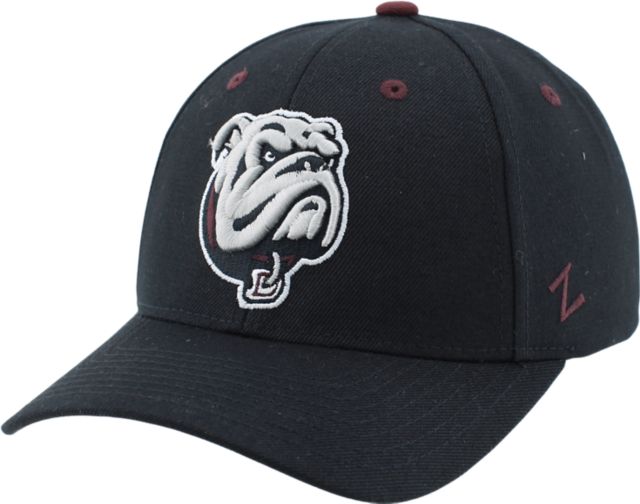 Dean College Bulldogs Adjustable Cap