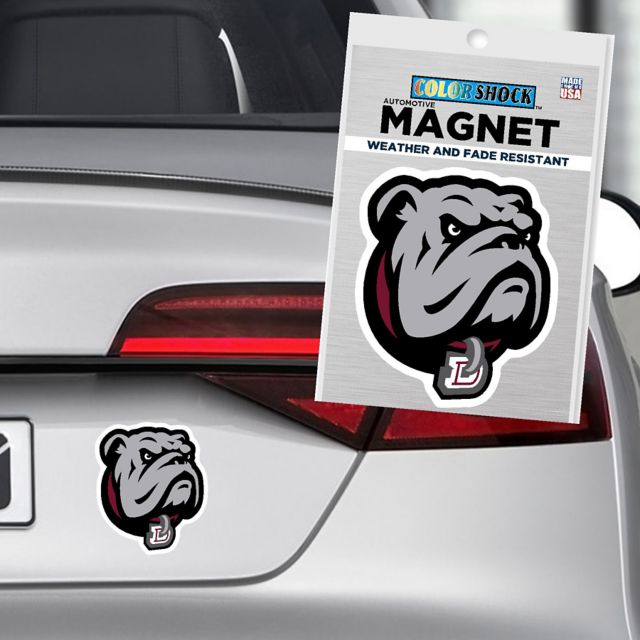 Dean College Bulldogs 4'' x 4'' Magnet