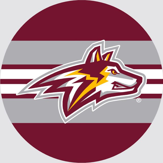 Alvernia University 3" Button Magnet
