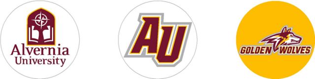 Alvernia University Golden Wolves Mini Button - 3 Pack
