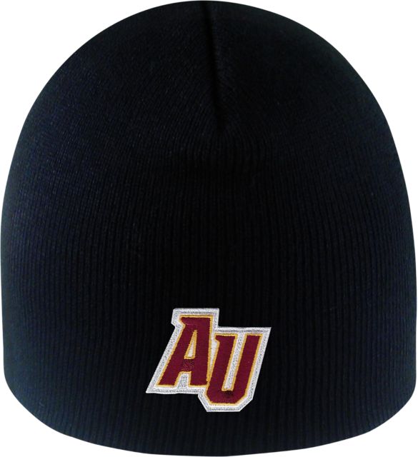 Alvernia University E