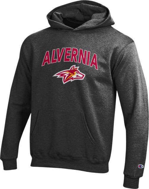 Alvernia University Golden Wolves Youth Hooded Sweatshirt