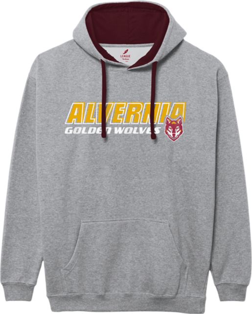 Alvernia University Golden Wolves Colorblock Hooded Sweatshirt