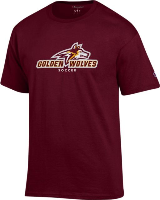 Alvernia University Short Sleeve Soccer T-Shirt