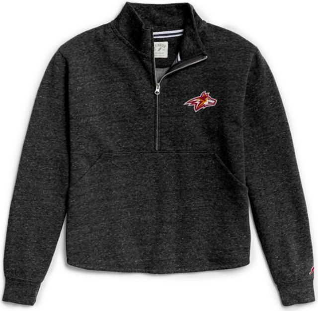 Alvernia University Golden Wolves Women's 1/4 Zip
