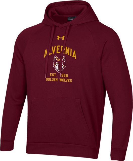 Alvernia University Golden Wolves Rival Hooded Sweatshirt