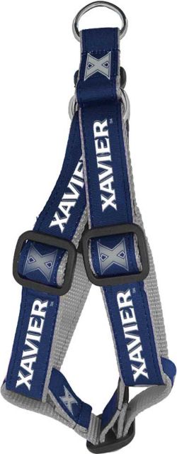 xavier dog collar