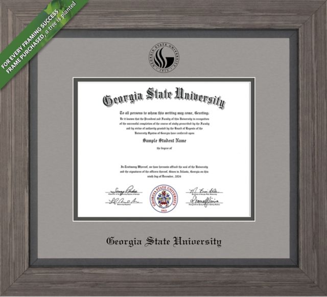 Framing Success Greystone 14 x 17  Diploma with Double mat - ONLINE ONLY