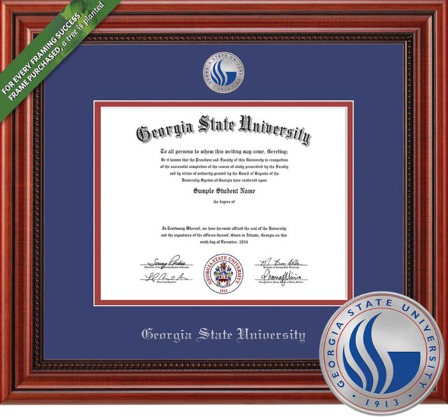 Framing Success Millennium 14 x 17  Diploma with Medallion and  Double mat - ONLINE ONLY