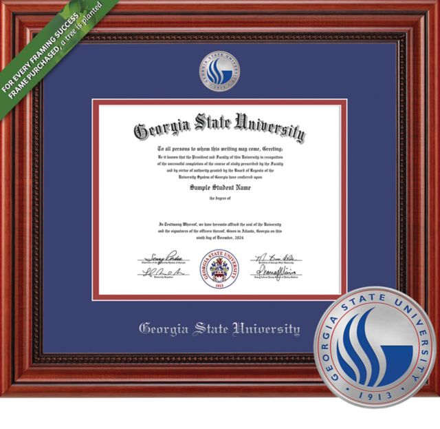 Framing Success Millennium 14 x 17  Diploma with Medallion and  Double mat - ONLINE ONLY