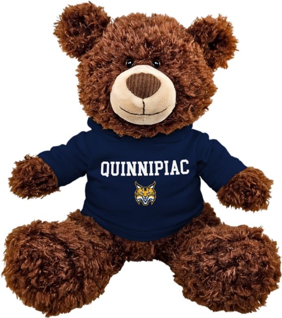 Quinnipiac University Bobcats 11'' Frizzy Bear with Hood