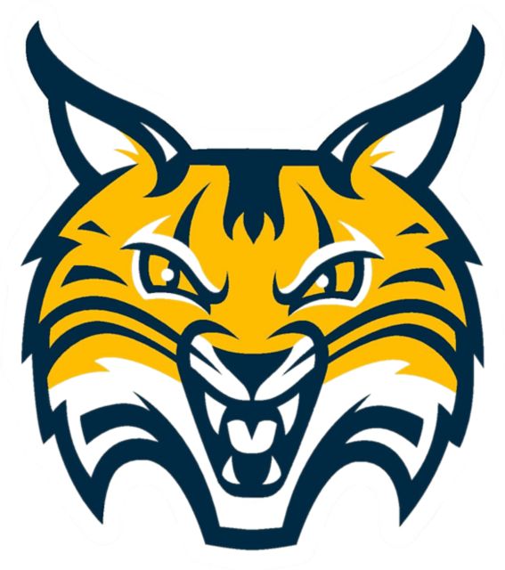 Quinnipiac University Bobcats 4'' x 4'' Magnet
