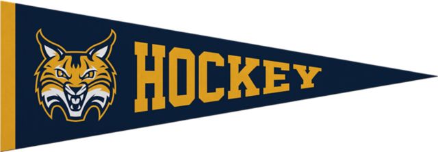 Quinnipiac University Hockey 5x15 Pennant