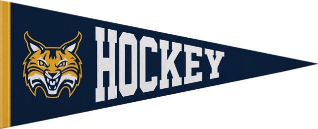 Quinnipiac University Bobcats 12x30 Pennant