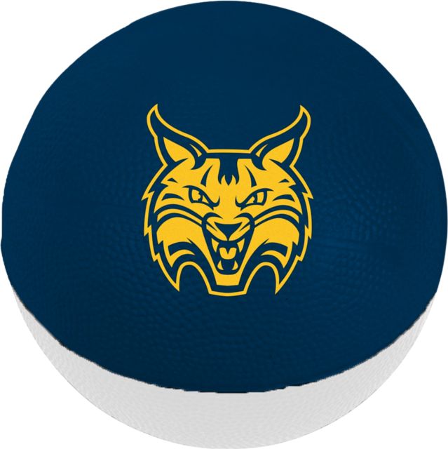 Quinnipiac University 6'' Foam Basketball