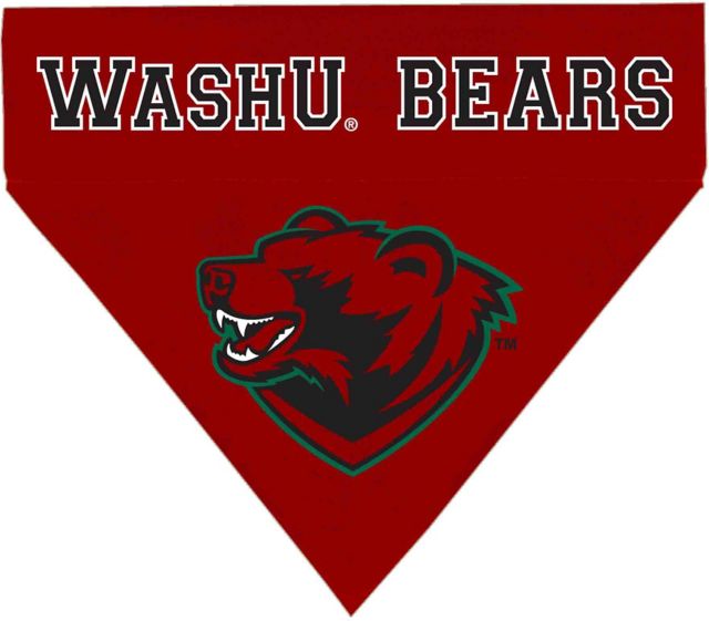 Washington University Necklace or Key Chain Washu Bears 