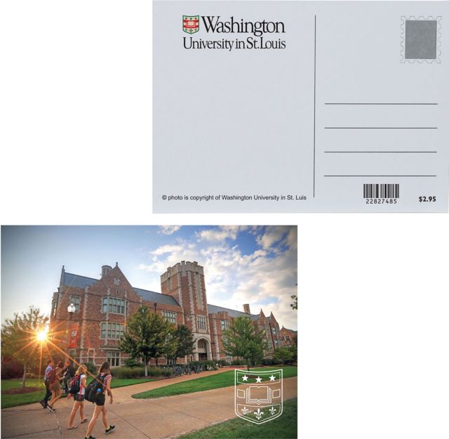 Washington University Necklace or Key Chain Washu Bears 