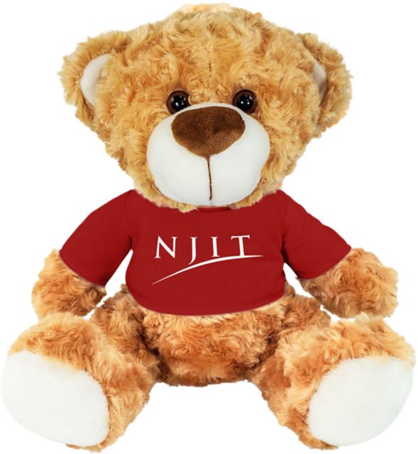 New Jersey Institute of Technology 10'' Plush Bear