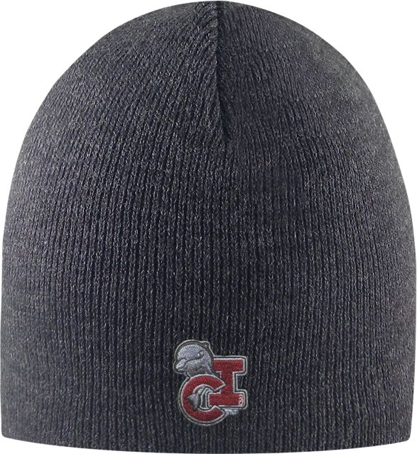 California State University - Channel Islands Dolphins Beanie