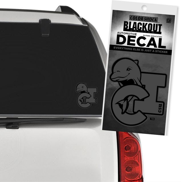 California State University - Channel Islands Dolphins Decal