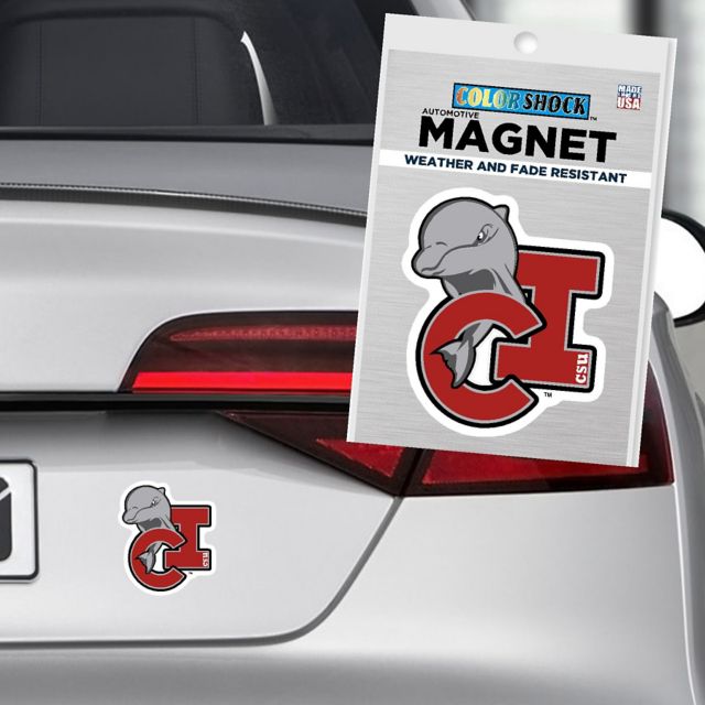 California State University - Channel Islands Dolphins 4'' x 4'' Magnet