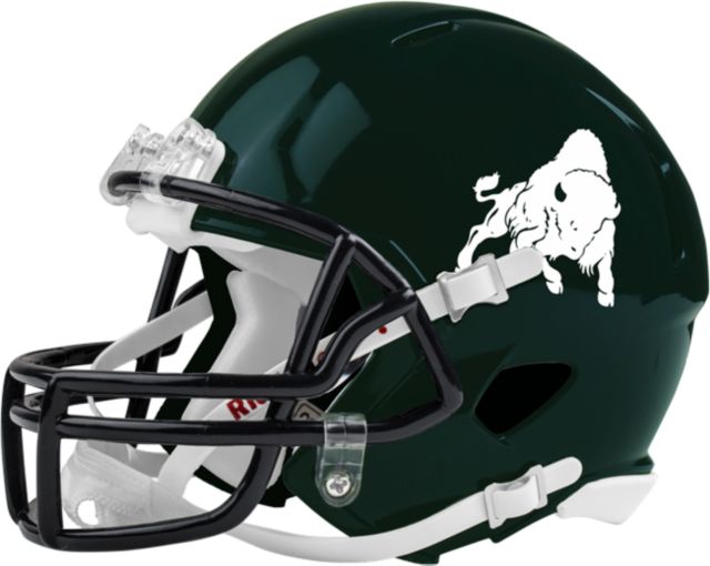 Bethany WV Riddell Replica Mini Helmet Boomer the Bison - ONLINE ONLY