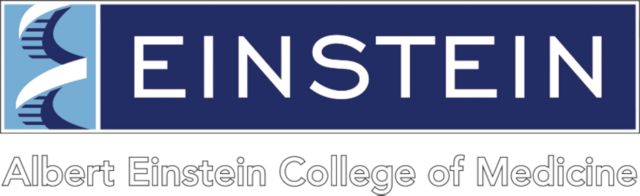 Albert Einstein Medium Decal Einstein Logo - ONLINE ONLY