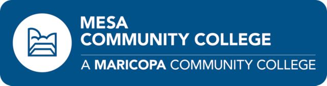 Mesa Large Decal Primary Mark - ONLINE ONLY