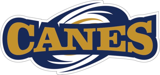 GSW State Large Decal Canes Athletics Mark - ONLINE ONLY