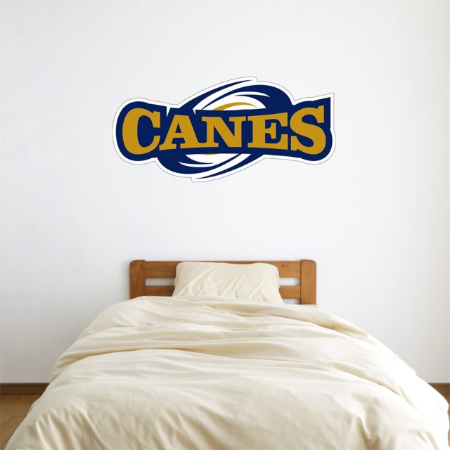 GSW State 2 ft x 4 ft Fan WallSkinz Canes Athletics Mark - ONLINE ONLY