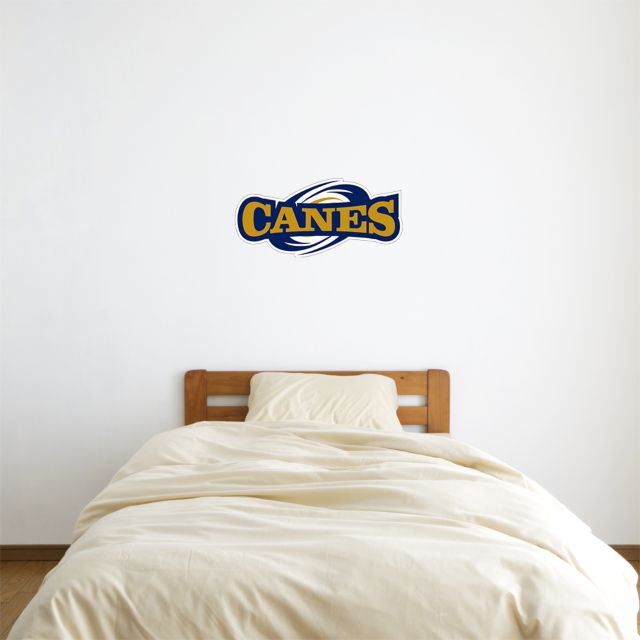 GSW State 6 in x 2 ft Fan WallSkinz Canes Athletics Mark - ONLINE ONLY