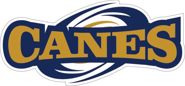 GSW State Super Large Decal Canes Athletics Mark - ONLINE ONLY