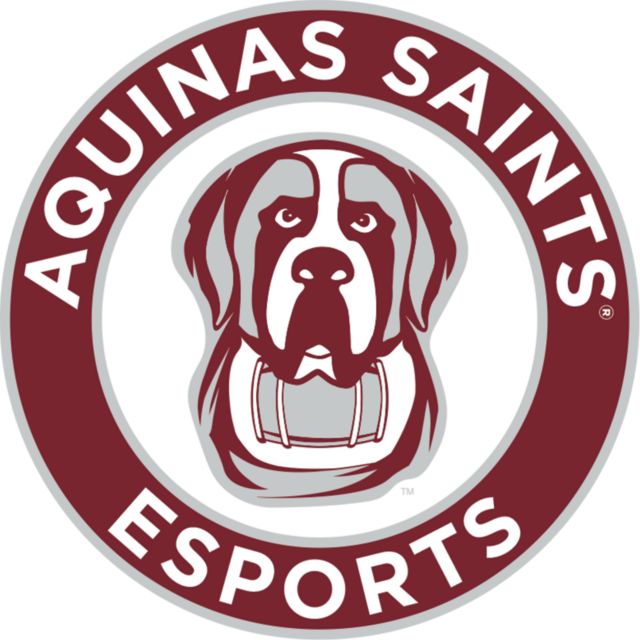 Aquinas College Medium Decal Esports - Aquinas - ONLINE ONLY