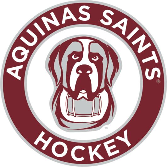 Aquinas College Medium Decal Hockey - Aquinas - ONLINE ONLY