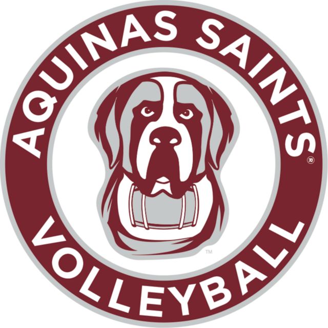 Aquinas College Medium Decal Volleyball - Aquinas - ONLINE ONLY