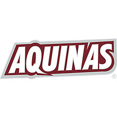 Aquinas College Large Decal Wordmark - ONLINE ONLY