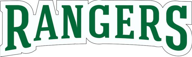 Wisconsin Parkside Large Decal