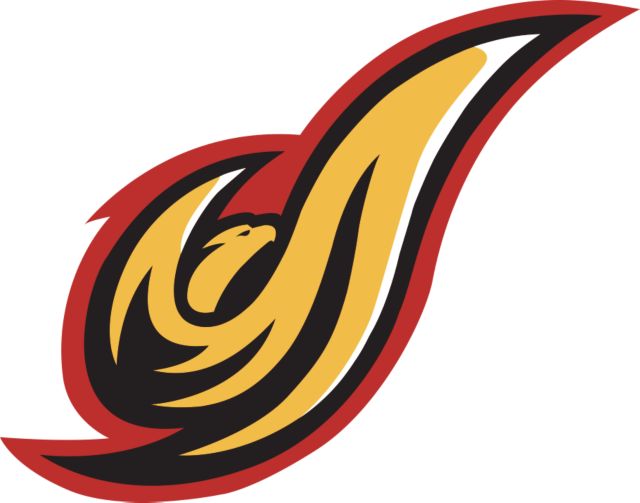 District of Columbia Large Decal Firebird Mascot - ONLINE ONLY