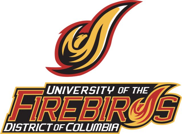 District of Columbia Extra Large Decal Secondary Mark - ONLINE ONLY