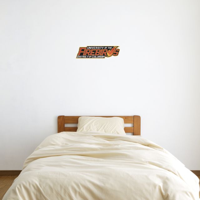 District of Columbia 6 in x 1 ft Fan WallSkinz Primary Mark - ONLINE ONLY