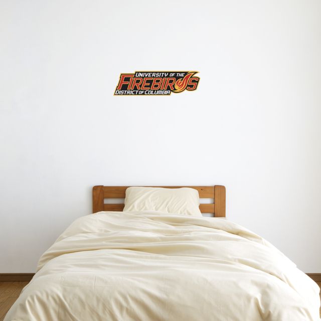 District of Columbia 6 in x 2 ft Fan WallSkinz Primary Mark - ONLINE ONLY
