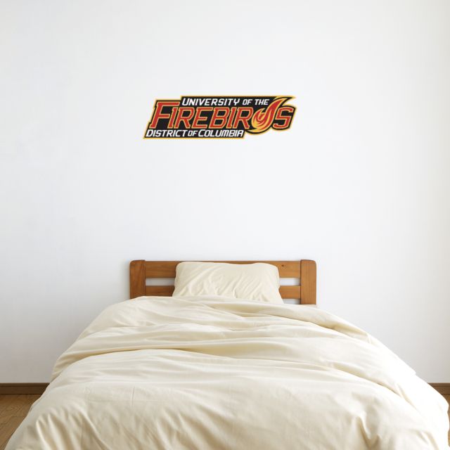 District of Columbia 1 ft x 3 ft Fan WallSkinz Primary Mark - ONLINE ONLY