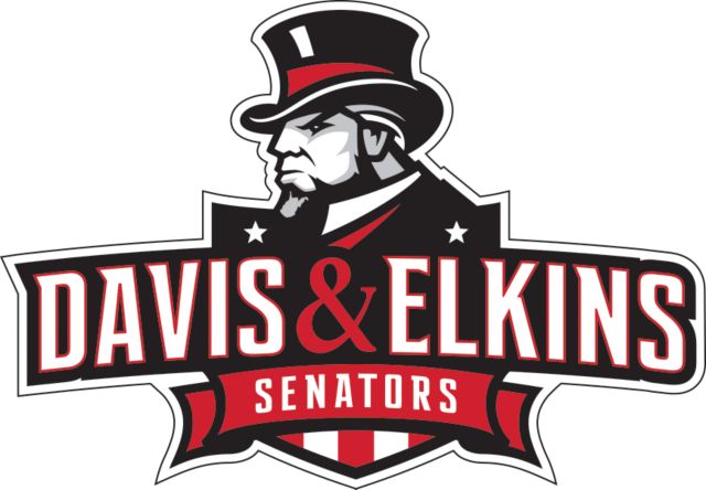 Davis & Elkins Medium Decal Primary Mark - ONLINE ONLY