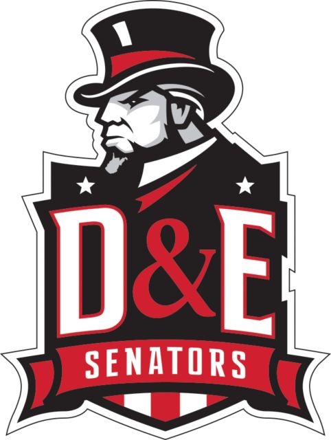 Davis & Elkins Medium Decal DE Senators - ONLINE ONLY