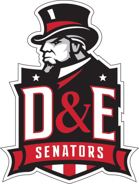 Davis & Elkins Large Decal DE Senators - ONLINE ONLY