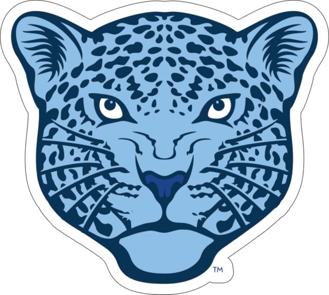 Spelman College Medium Decal Spelman College - ONLINE ONLY