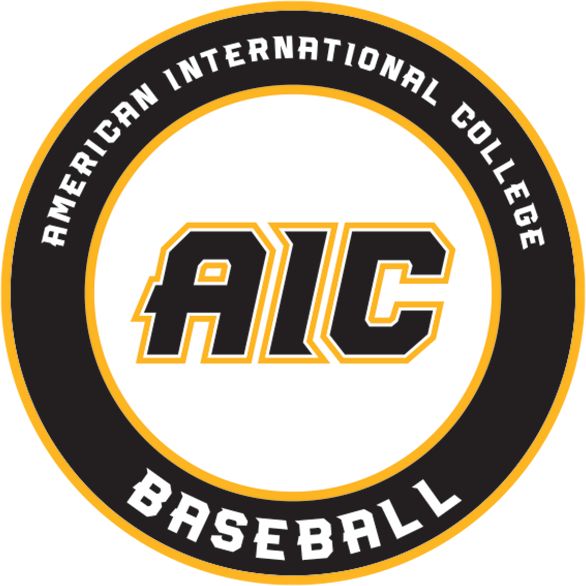 American International Medium Decal AIC Baseball - ONLINE ONLY