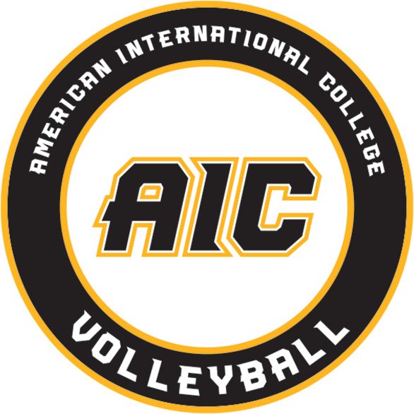 American International Medium Decal AIC Volleyball - ONLINE ONLY